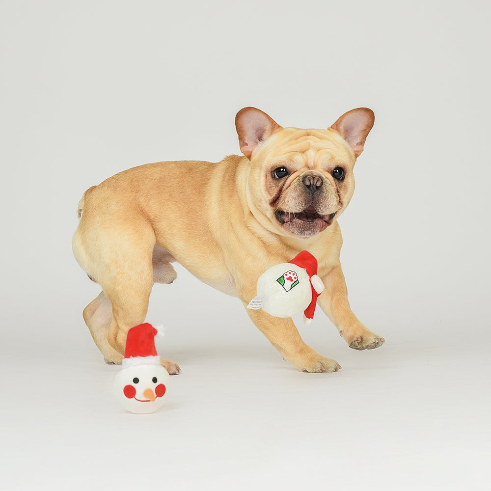 Snowman Ball Squeaky, Crinkles Detachable Plush Dog Toy