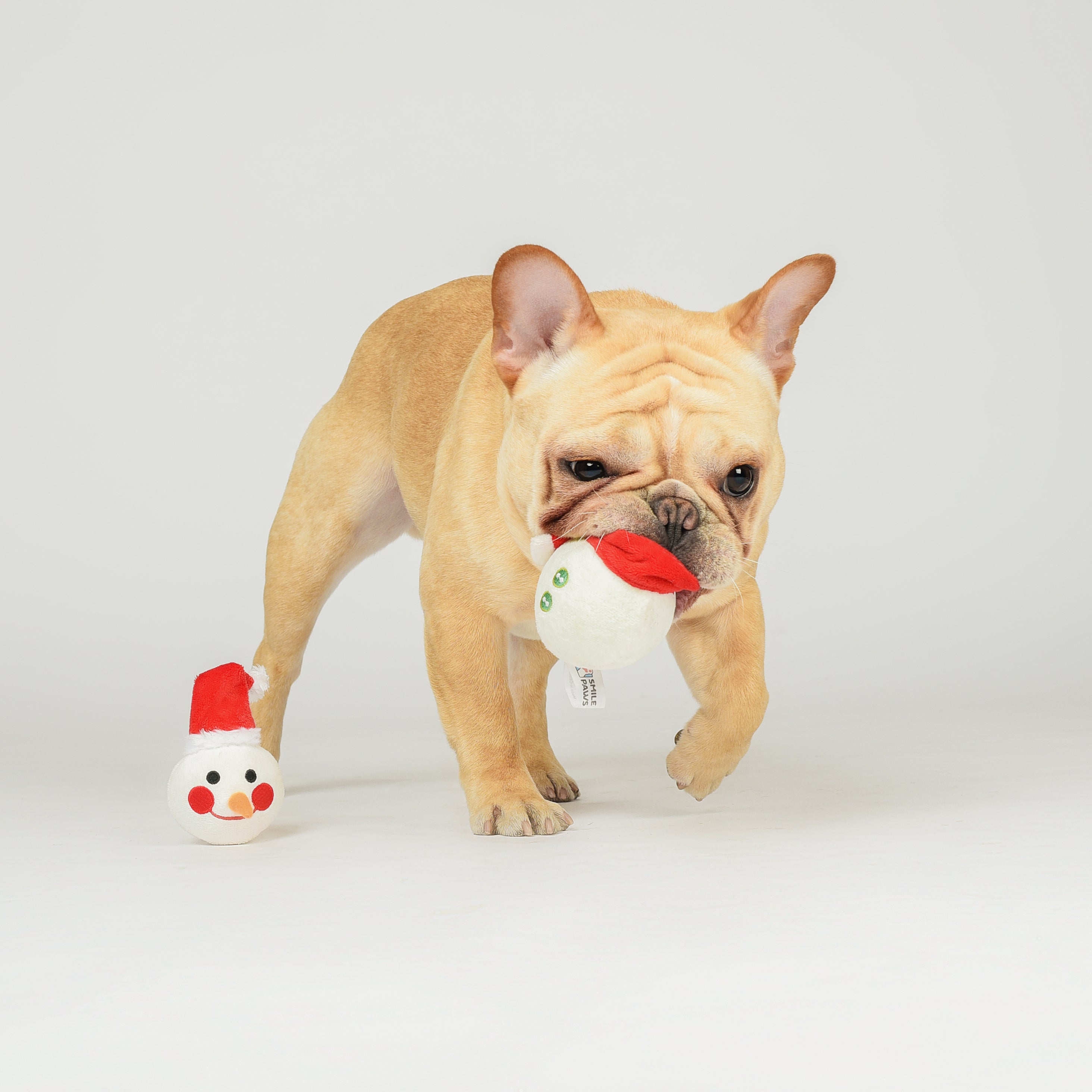 Snowman Ball Squeaky, Crinkles Detachable Plush Dog Toy