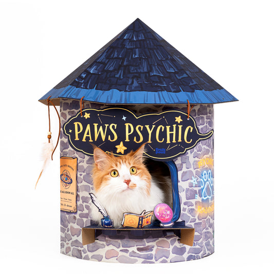 Paws Psychic House