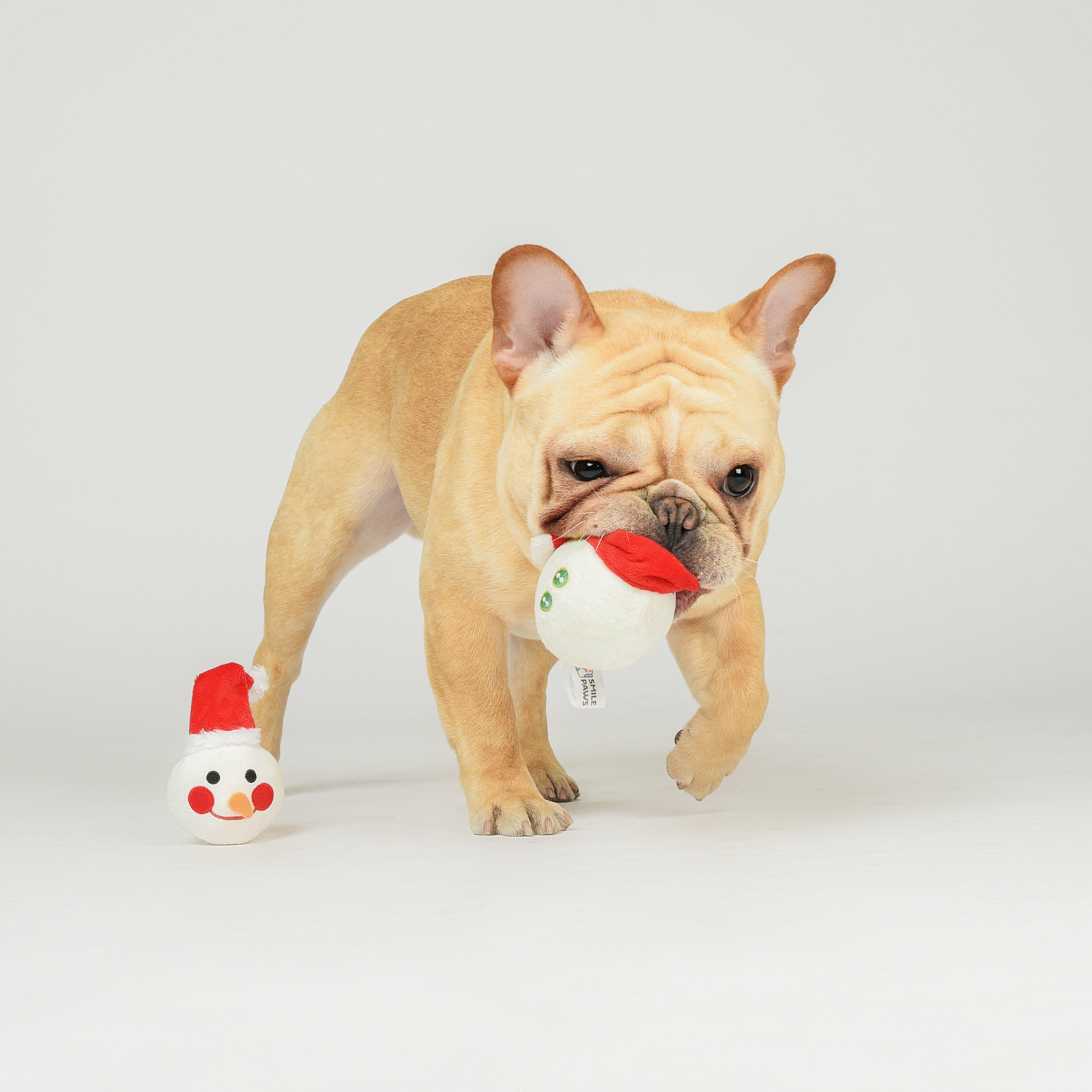 Squeaky snowman hotsell dog toy