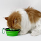 Smile Paws Collapsible Cat Bowl 1PC Pawsland