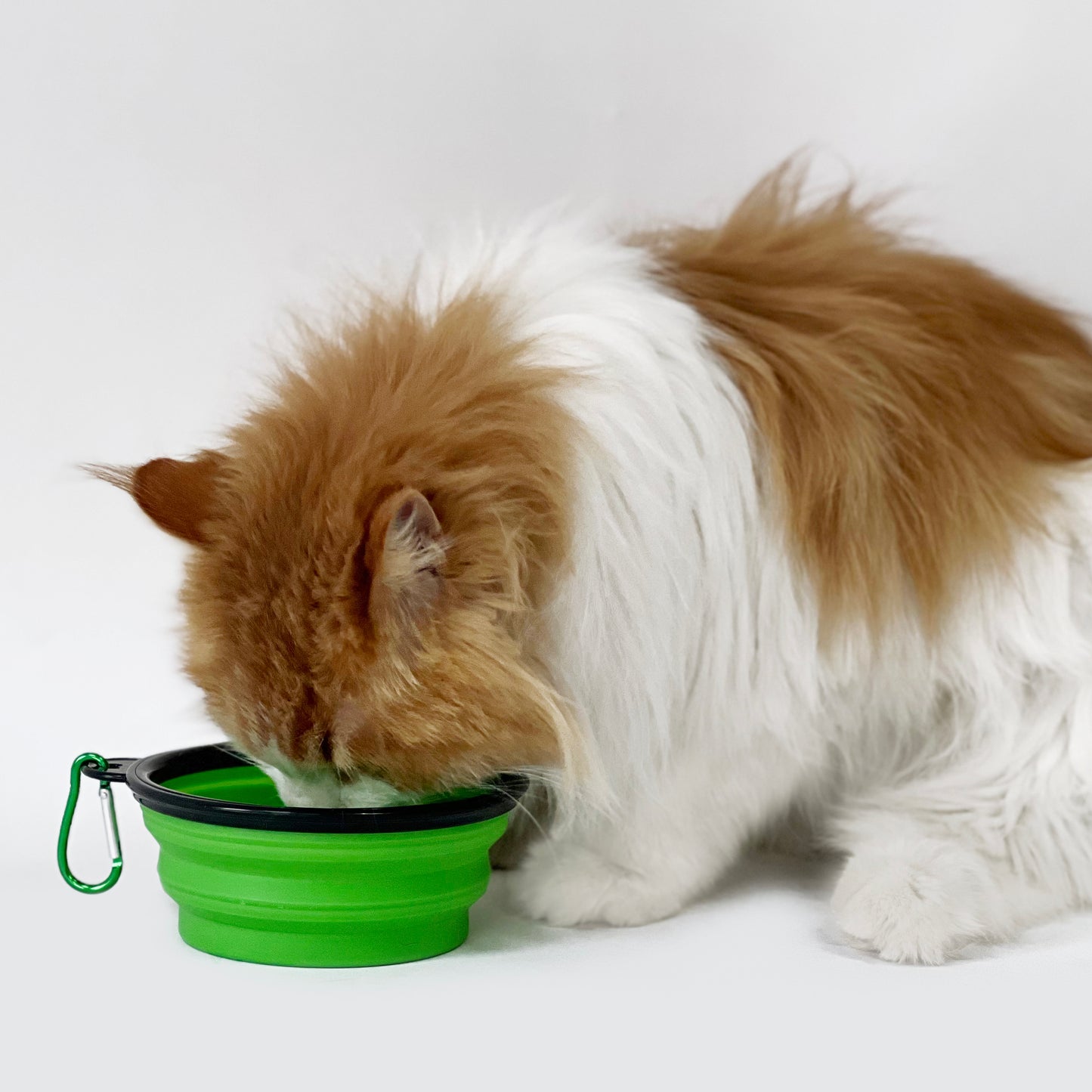 Smile Paws Collapsible Cat Bowl 1PC Pawsland