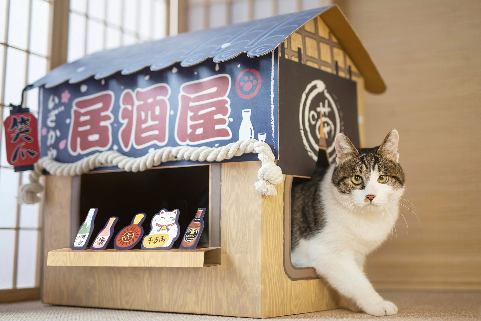 Cat Scratcher House Izakaya Smile Paws